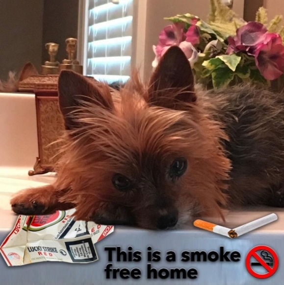 𝐌𝐞𝐫𝐜𝐡𝐚𝐧𝐝𝐢𝐬𝐞 New With Tags Mostly - Picture 3 of 11